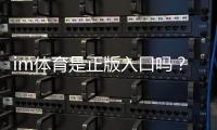 im体育是正版入口吗？资深玩家揭秘平台安全性与游戏体验
