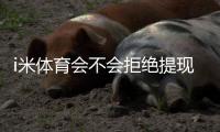 i米体育会不会拒绝提现？全面解读拒付原因与快速应对指南