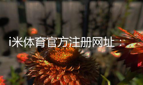 i米体育官方注册网址：轻松获取最新注册链接与游戏攻略