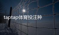taptap体育投注种类多吗？详解平台可投玩法类型、优缺点与新手选择攻略